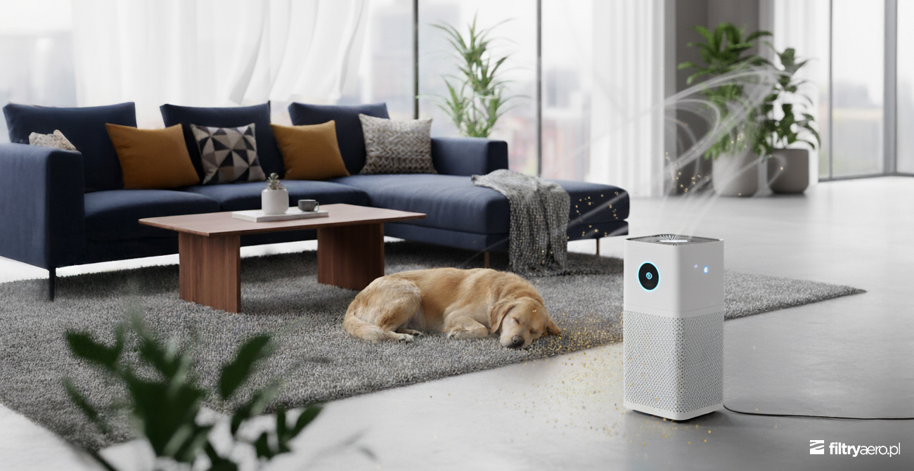 Duży salon z narożnikiem, na dywanie śpi pies rasy Golden Retriever, a obok pracuje oczyszczacz Xiaomi Smart Air Purifier 4 Pro filtrujący sierść i zapachy.